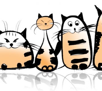 Filastrocche per bambini – Filastrocca del miao