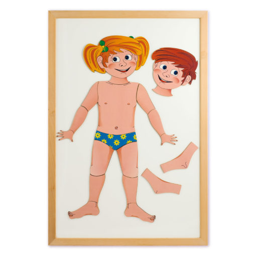 Schema corporeo - Gioco magnetico - Puzzle in legno - il corpo umano per bambini - Giochi didattici - Dida