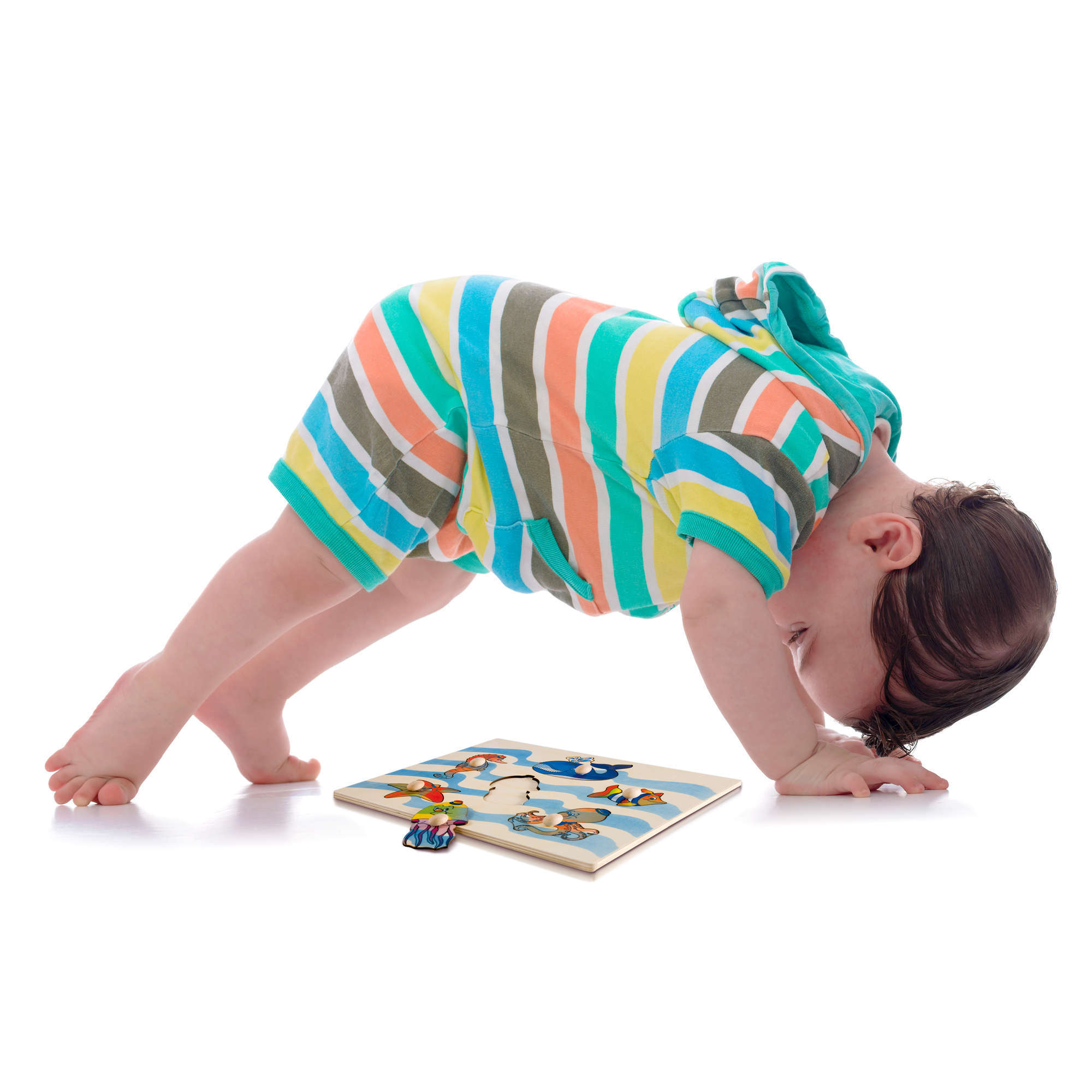 Puzzle incastri animali marini, figure intere in postazioni singole - Dida puzzle incastri animali marini