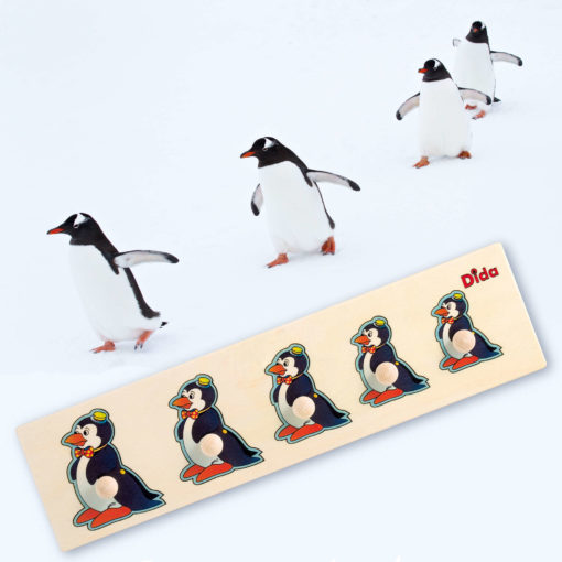 Seriazione Pinguino puzzle e incastri esercizi e attività montessoriana-Dida