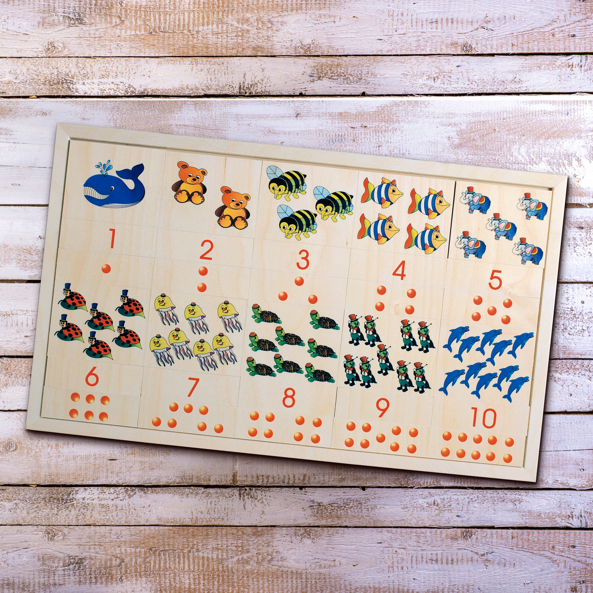 N01--NUMERI,-DISEGNI-E-QUANTITA'-1